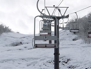 ����Z�C���A