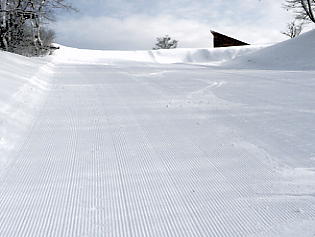 ����Z�C���A