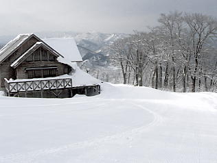 ����Z�C���A