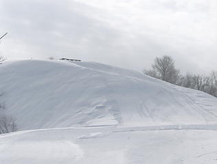 ����Z�C���A