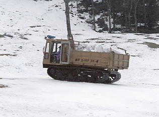 ����Z�C���A