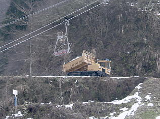 ����Z�C���A