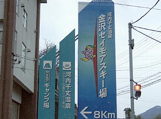 ����Z�C���A