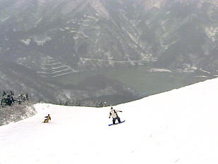 �����@�X�L�[��