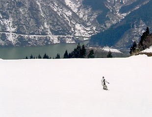 �����@�X�L�[��