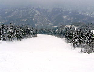 �����@�X�L�[��