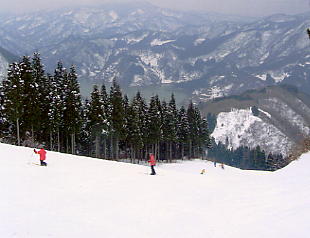 �����@�X�L�[��