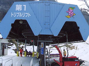 ����Z�C���A