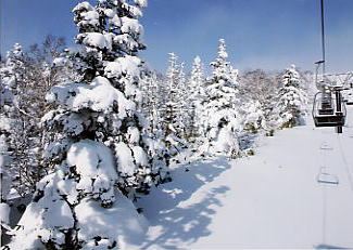 �Ԓ�����X�L�[��