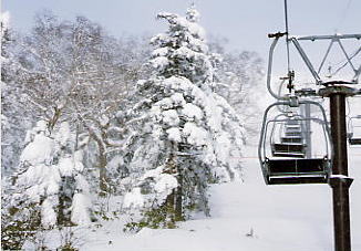 �Ԓ�����X�L�[��