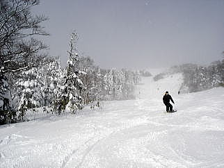 �Ԓ�����X�L�[��