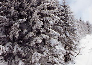 �[��@�X�L�[��