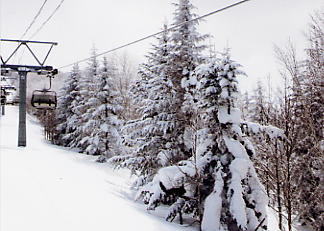 �[��@�X�L�[��