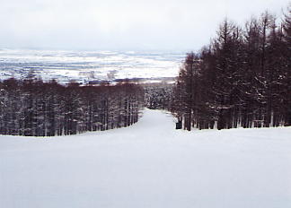 �[��@�X�L�[��