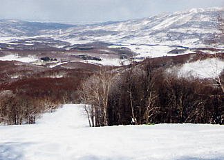 �[��@�X�L�[��