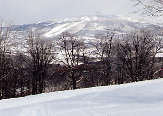 �[��@�X�L�[��