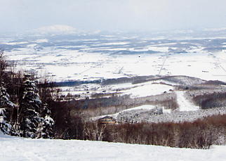 �[��@�X�L�[��