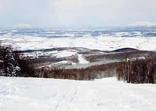 �[��@�X�L�[��