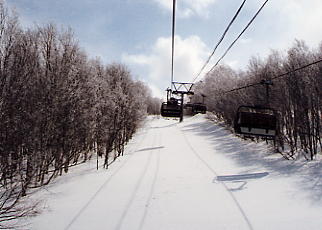 �[��@�X�L�[��