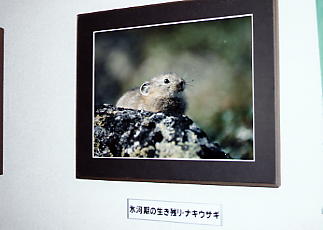 ���x���[�v�E�F�C