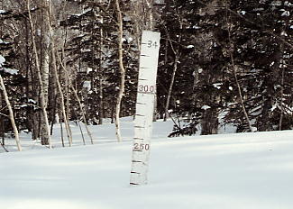 ���x���[�v�E�F�C