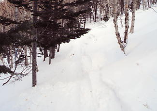 ���x���[�v�E�F�C