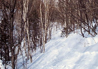 ���x���[�v�E�F�C