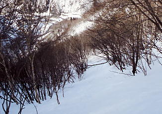 ���x���[�v�E�F�C