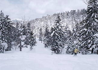 ���x���[�v�E�F�C