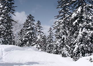 ���x���[�v�E�F�C