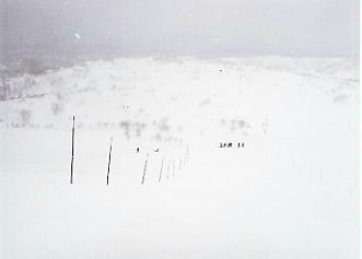 ���x���[�v�E�F�C