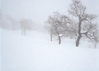 ���x���[�v�E�F�C