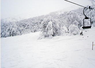 ������΃X�L�[��