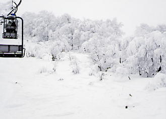 ������΃X�L�[��