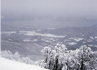 ������΃X�L�[��