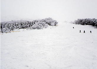 ������΃X�L�[��