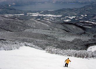 ������΃X�L�[��