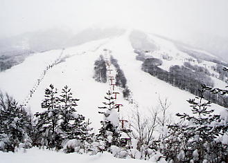 ������΃X�L�[��