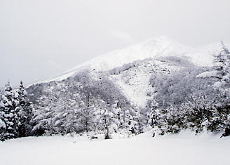 �X�m�[���[���h�^�U��