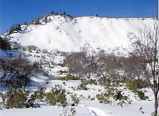 �X�L�[�ʐ^�F������