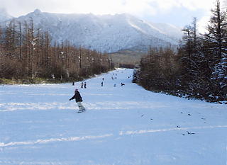 ���������]�[�g