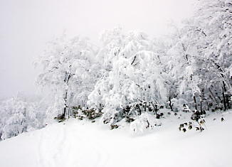 �c��΃A�b�X��