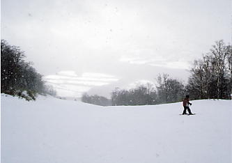 �X�L�[�ʐ^�F��荂��