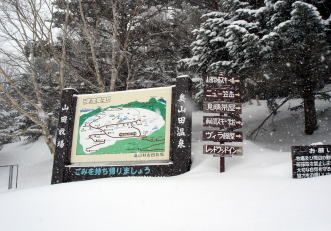 �R�c����A�R�c�q��A�^�R�`�R�[�X