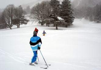 �R�c�q��A�R�c����A�^�R�`�R�[�X