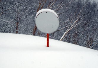 �R�c�q��A�R�c����A�^�R�`�R�[�X