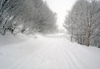 �R�c�q��A�R�c����A�^�R�`�R�[�X