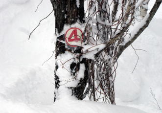 �R�c�q��A�R�c����A�^�R�`�R�[�X