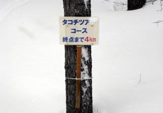 �R�c�q��A�R�c����A�^�R�`�R�[�X