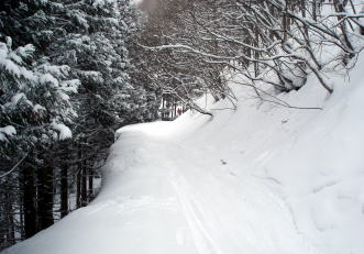 �R�c�q��A�R�c����A�^�R�`�R�[�X